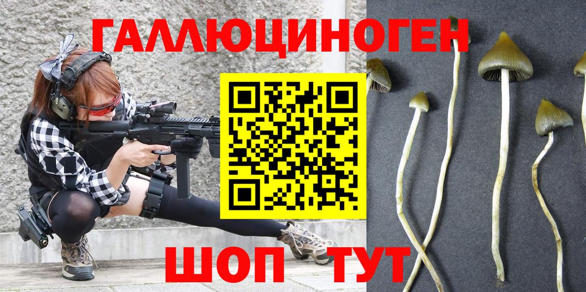 Псилоцибиновые грибы GOLDEN TEACHER  Вход с VPN  Коммунар 